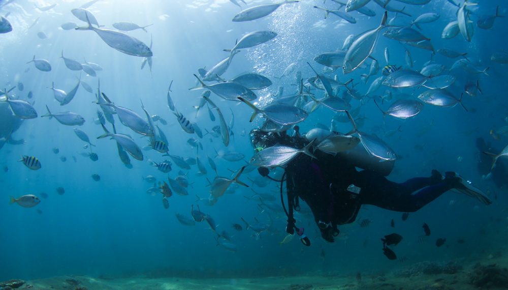 ?????? ??????: ????? ????? ?? ??? ??????