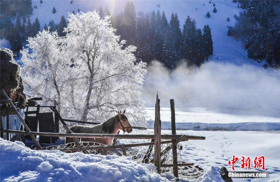 ?????? ???? ????? ?? ????? ???????? ?? ???? ???? ????? ?????????