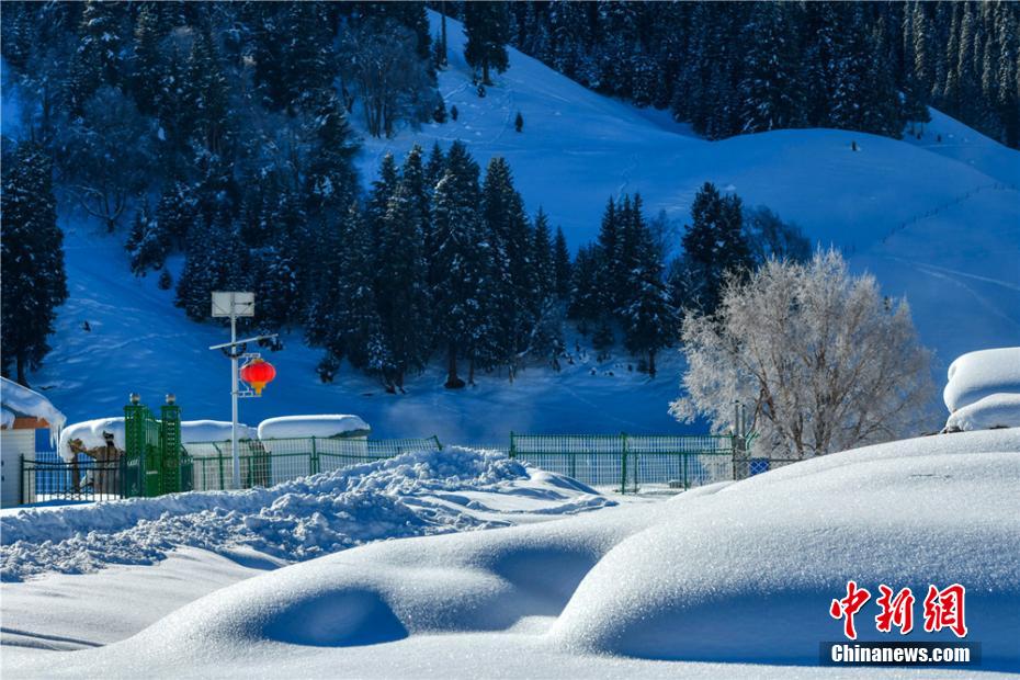 ?????? ???? ????? ?? ????? ???????? ?? ???? ???? ????? ?????????