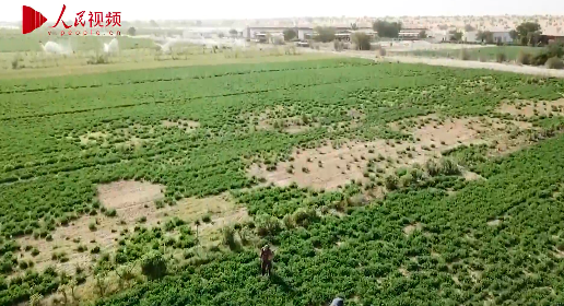 ?????: ????? ???? ???????? ?? ????? ?????????