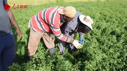 ?????: ????? ???? ???????? ?? ????? ?????????