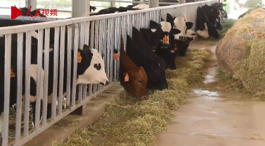 ?????: ????? ???? ???????? ?? ????? ?????????