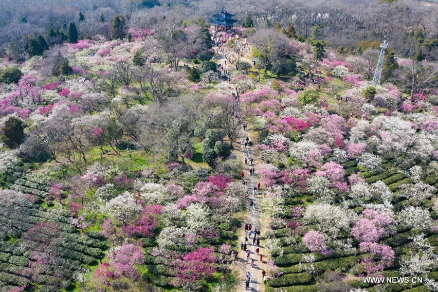 ????? ????? ?????? ????? ?????