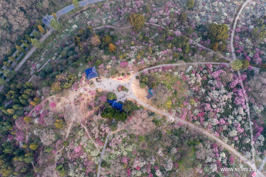 ????? ????? ?????? ????? ?????