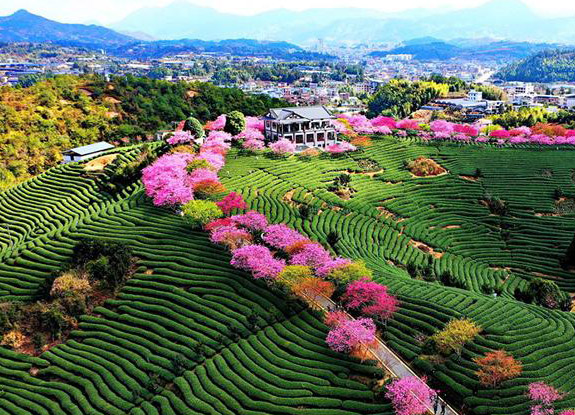 ???? ????? ????? ???????