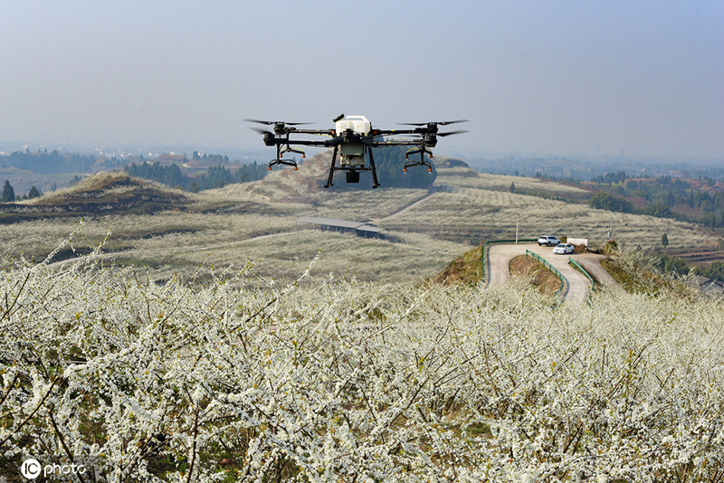 ???????? ? ???????: ?????? ???? ???? ???? ????? ???????