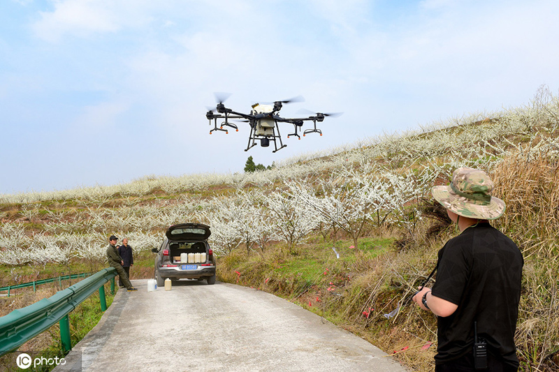 ???????? ? ???????: ?????? ???? ???? ???? ????? ???????