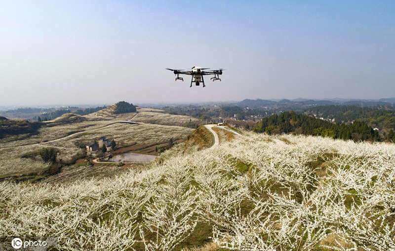 ???????? ? ???????: ?????? ???? ???? ???? ????? ???????