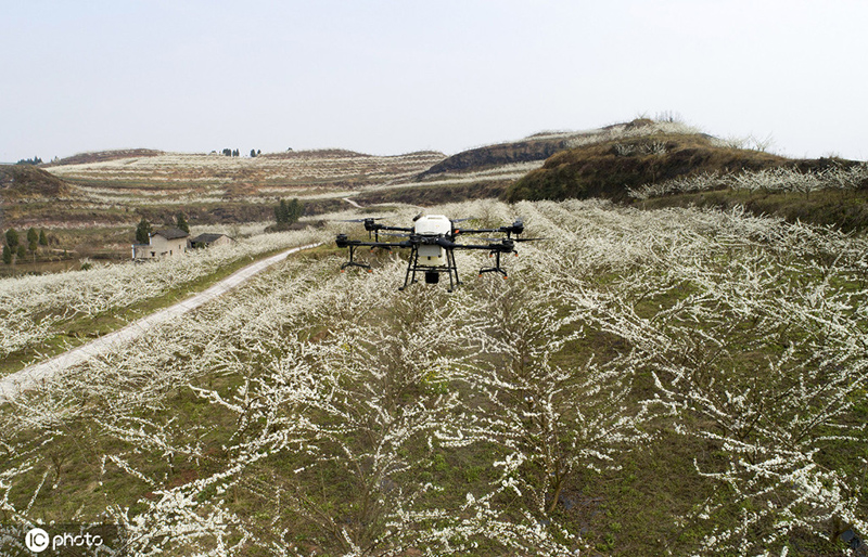 ???????? ? ???????: ?????? ???? ???? ???? ????? ???????