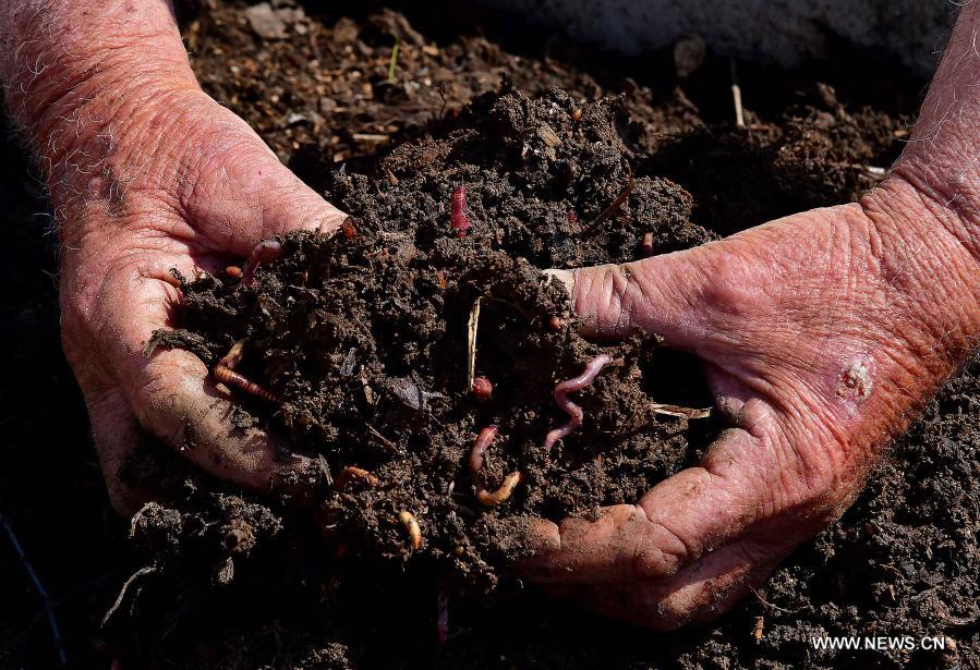 ????? ??????: ????? ???? ???? ????? ????? ????? ???????? ?????