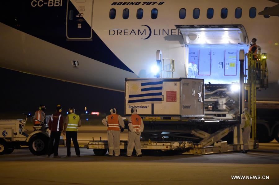 ???? ???????? ???? ????? ??? ????? ?????? ?????-19