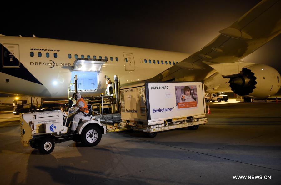 ???? ???????? ???? ????? ??? ????? ?????? ?????-19