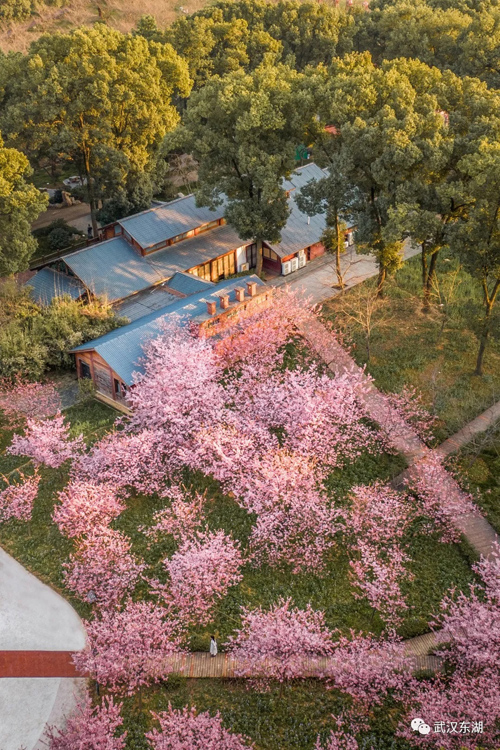 ??? ???? ????? ??????? ???? ????? ?? ????? ????? ?? ????