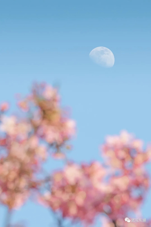 ??? ???? ????? ??????? ???? ????? ?? ????? ????? ?? ????