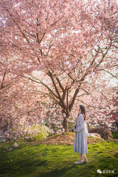 ??? ???? ????? ??????? ???? ????? ?? ????? ????? ?? ????