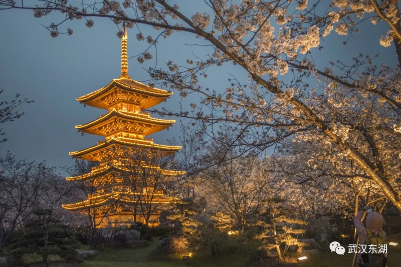 ??? ???? ????? ??????? ???? ????? ?? ????? ????? ?? ????