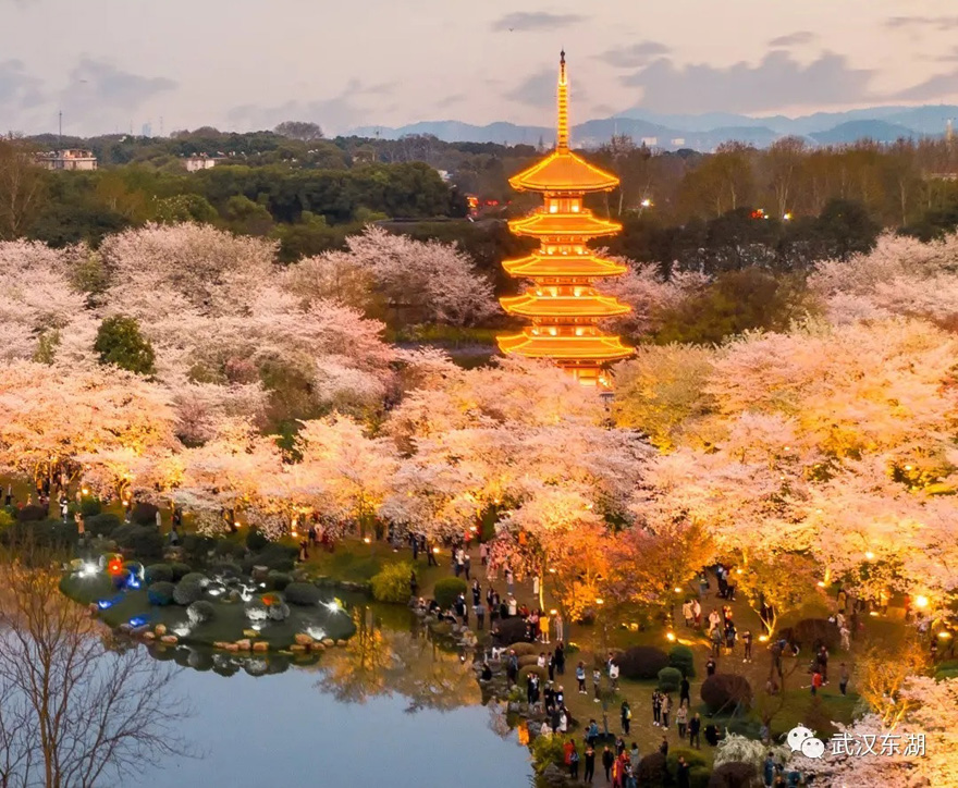 ??? ???? ????? ??????? ???? ????? ?? ????? ????? ?? ????