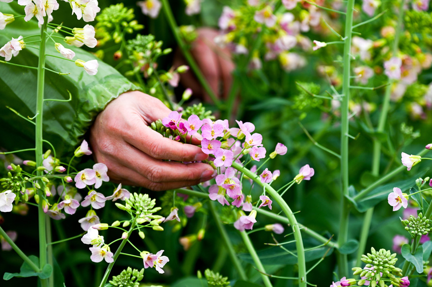 ???? ?? ????? ?? ??????? ???? ?? ????? 38 ????? ?? ????? ????????