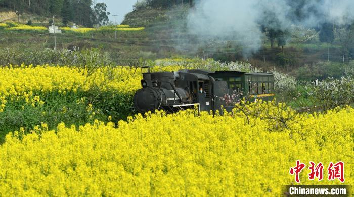 ???? ?????? ???? ??????? ?? ???????