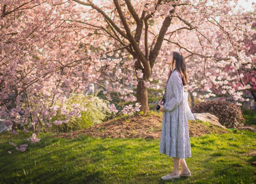 ??? ???? ????? ??????? ???? ????? ?? ????? ????? ?? ????