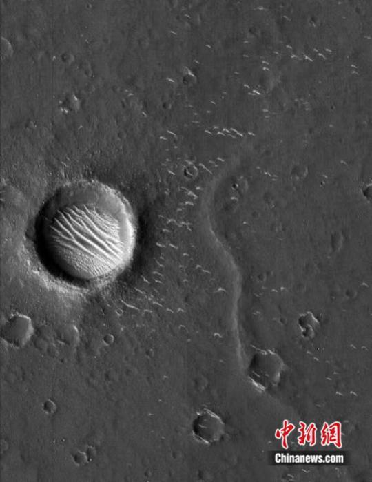 ????? ???? ???? ????? ????? ?????? ?? ????? ??????-1