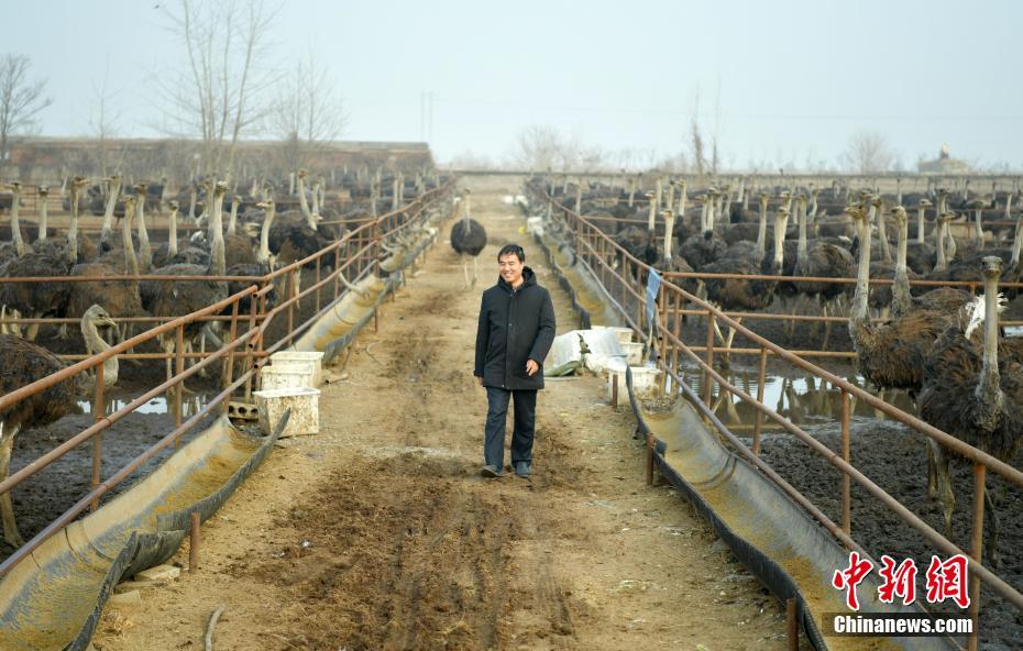 ????? ??????? ???? ?????? ?? ???????? ???????? ??? ??????