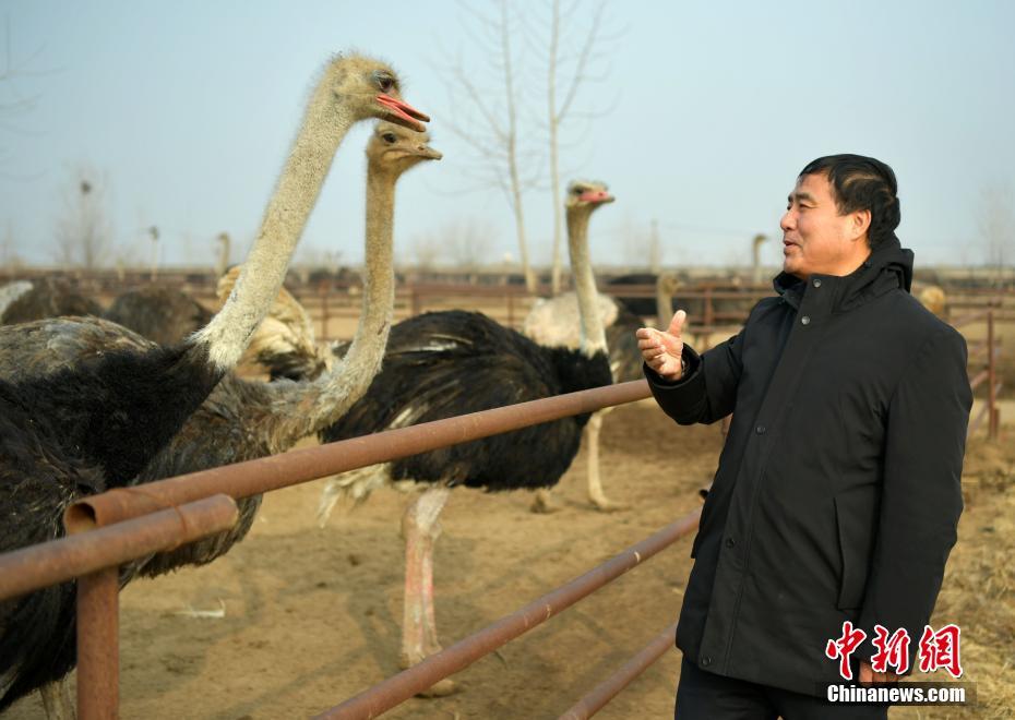 ????? ??????? ???? ?????? ?? ???????? ???????? ??? ??????