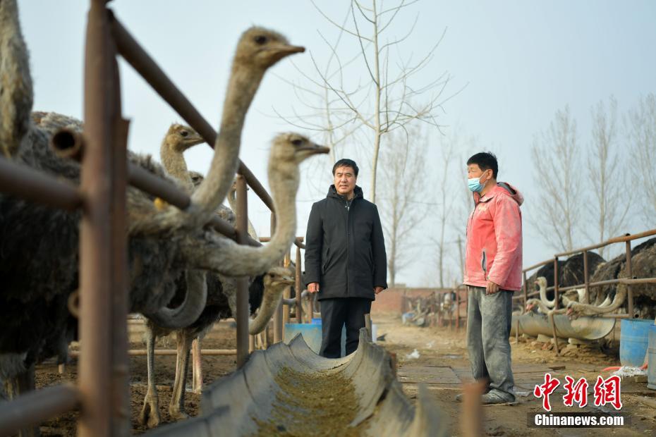 ????? ??????? ???? ?????? ?? ???????? ???????? ??? ??????