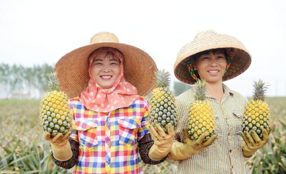 ????? ?????????: ???? ???????? ?? ?????