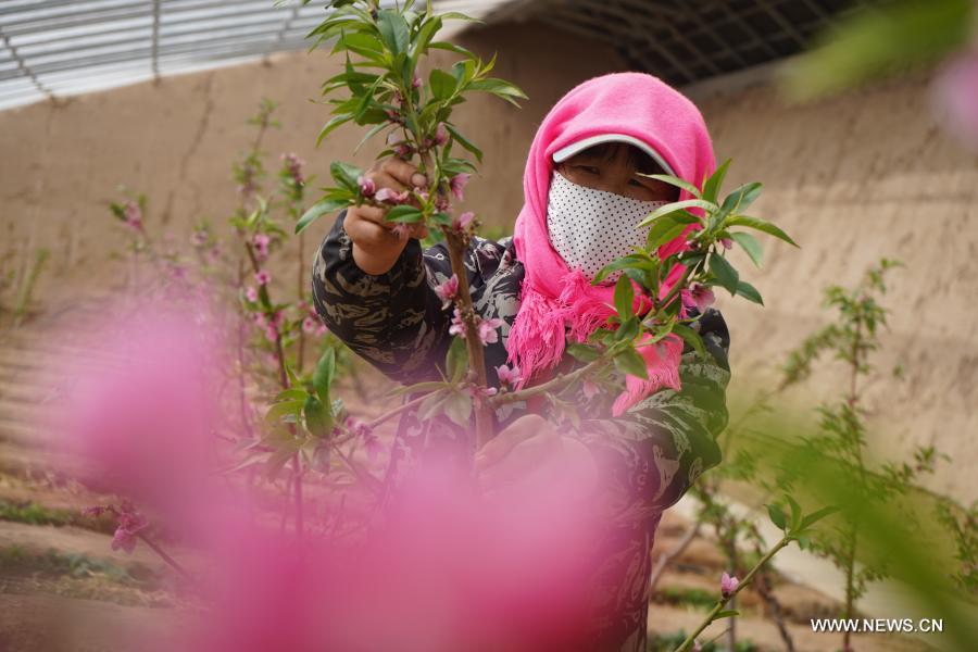 ????? ??????? ??????? ?? ??????? ?? ???? ???? ?????