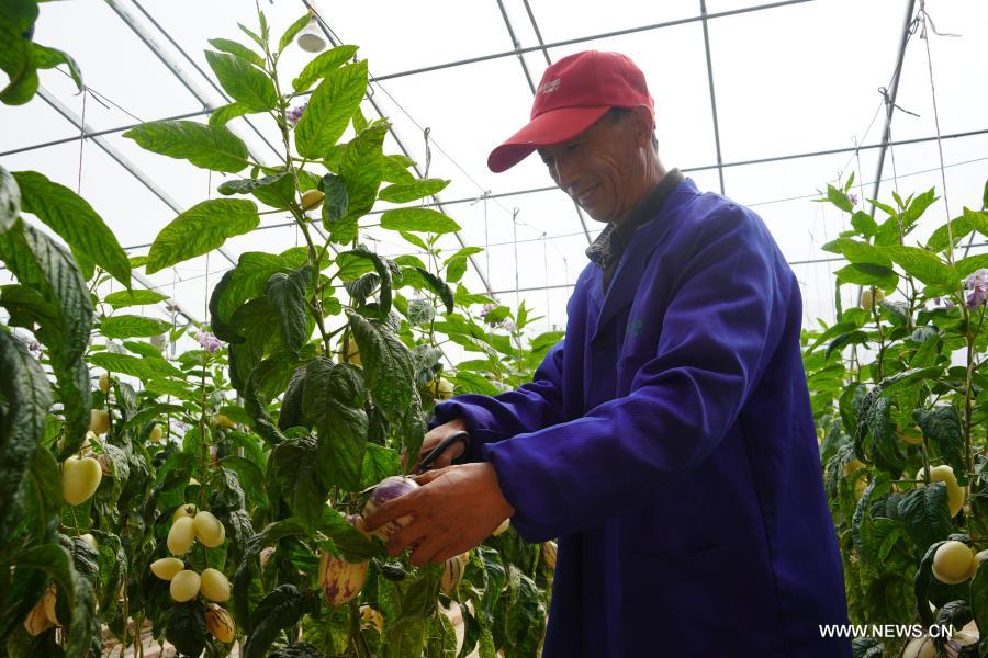 ????? ??????? ??????? ?? ??????? ?? ???? ???? ?????