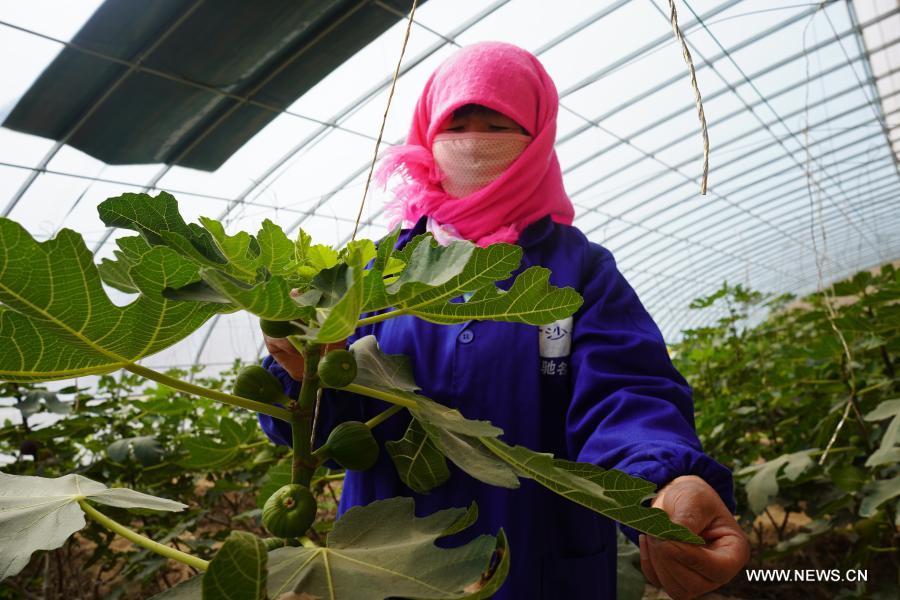 ????? ??????? ??????? ?? ??????? ?? ???? ???? ?????