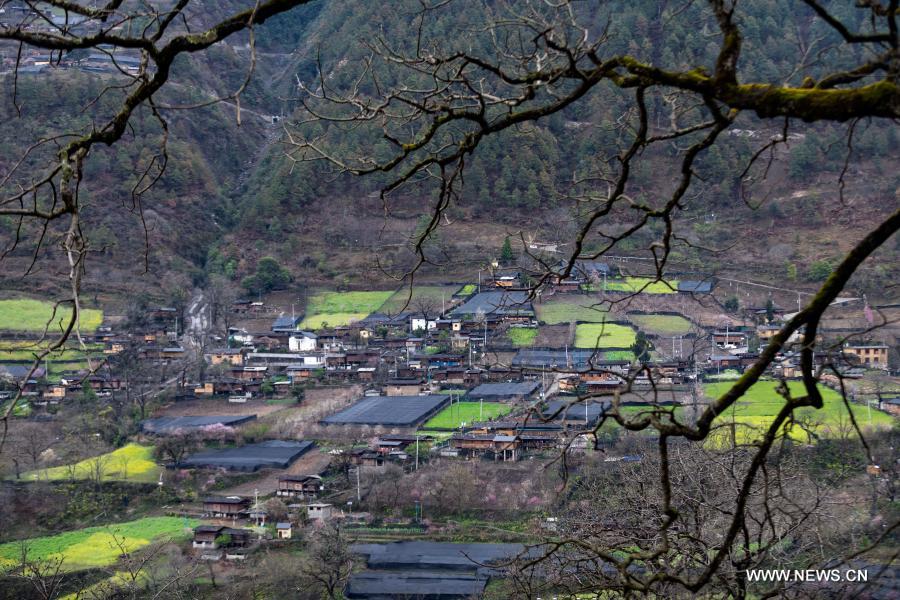 ????? ????? ??? ??????? ?? ???? ???? ?????