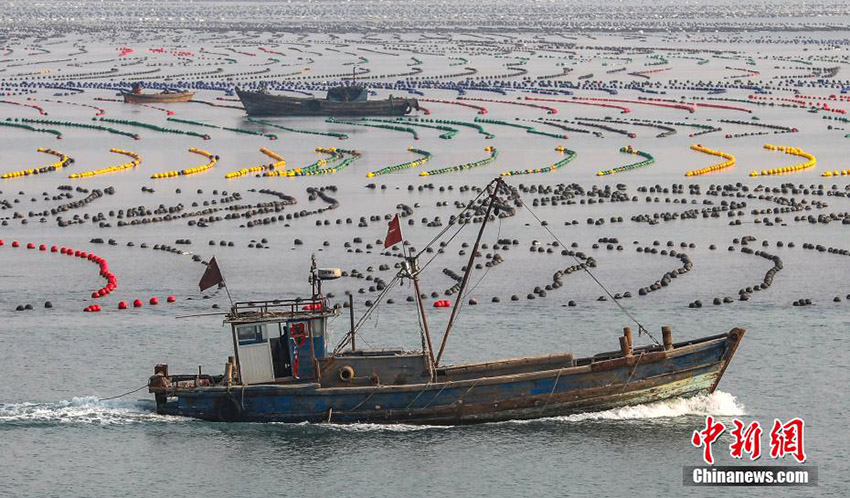 ???? ???????? ?? ????? ???? ????