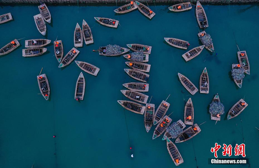 ???? ???????? ?? ????? ???? ????