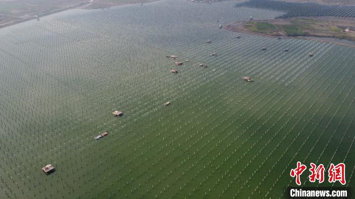 ????? ??????? ????? ???? ??? ????? ?????? ?????? ???????