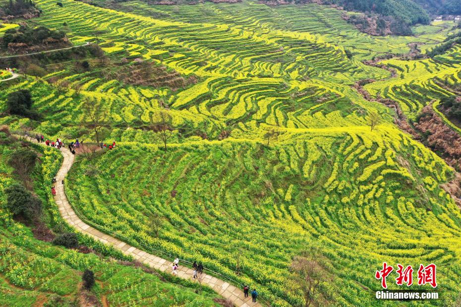 ????? ???????? ?? ???? ?????? ???????? ???? ???? ?????? ???????