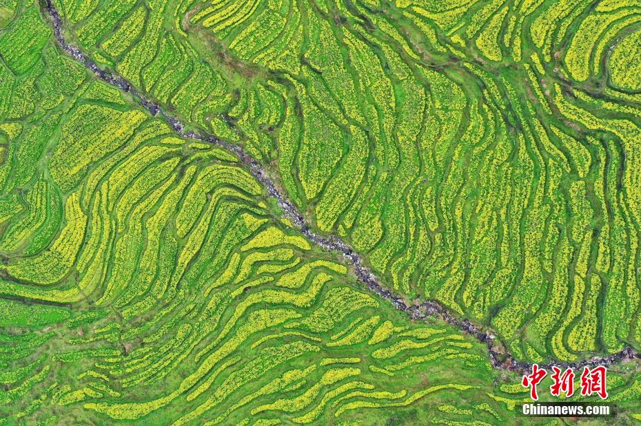 ????? ???????? ?? ???? ?????? ???????? ???? ???? ?????? ???????