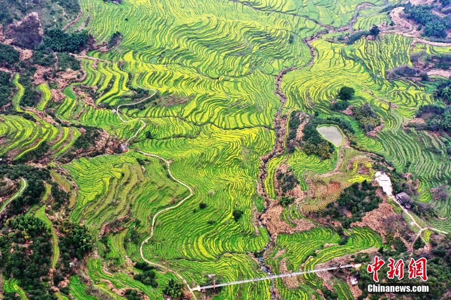 ????? ???????? ?? ???? ?????? ???????? ???? ???? ?????? ???????