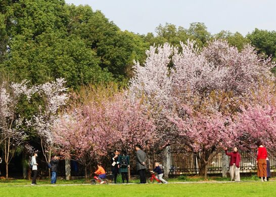 ??? ??????... ??????? ???? ?????? ????? ?? ?????