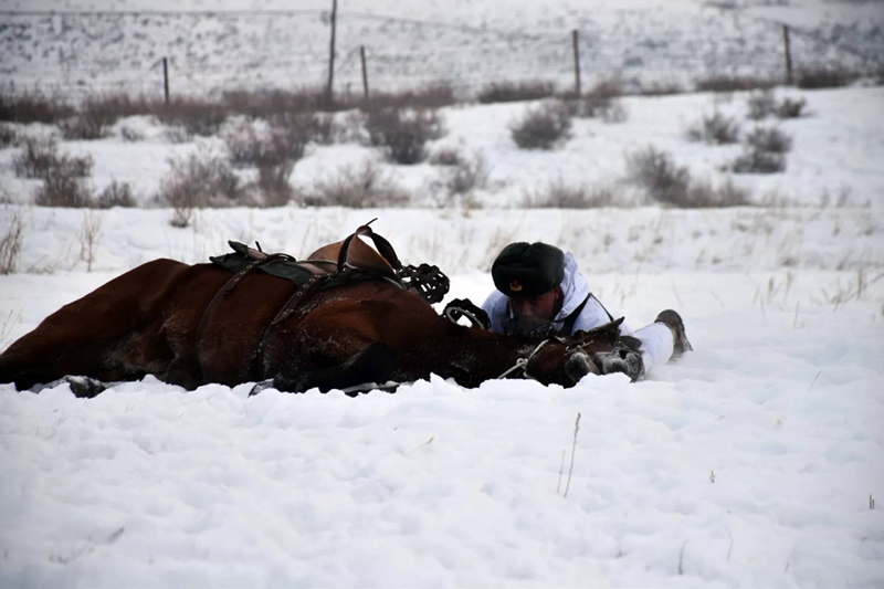 ?????  ?????? ???????? ?? ????????