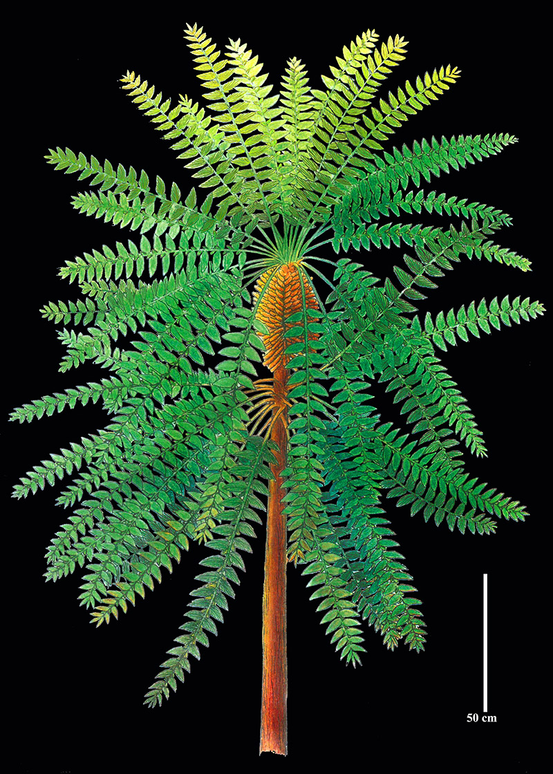 ????? ??????? ??????? ????? ???? ??? 300 ????? ??? ?? ??????? ????????