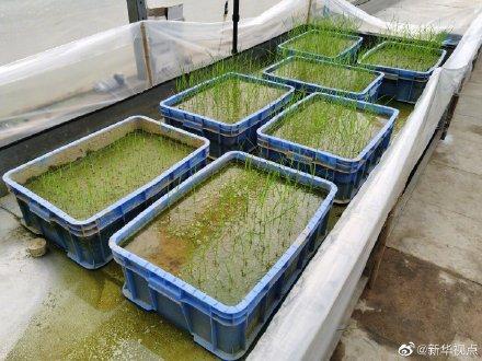 ??? ????? ??????? ?? ????? ????? ?????? ?? ????? ?????