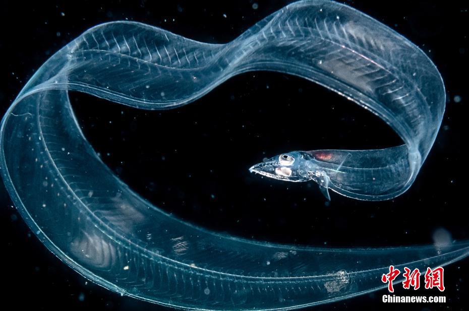 ???? ????? ???? ????? ???????? ??????? ???????