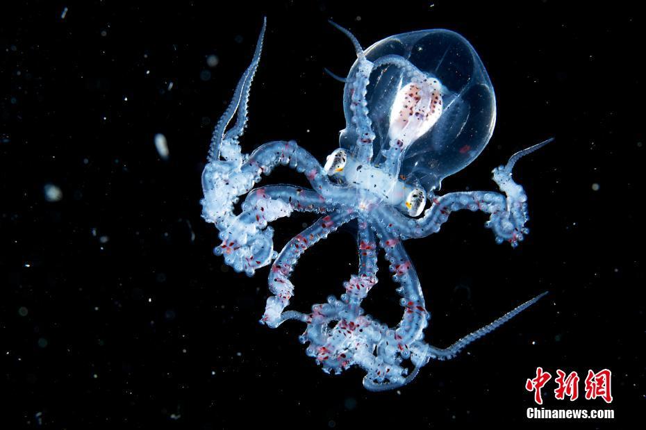 ???? ????? ???? ????? ???????? ??????? ???????