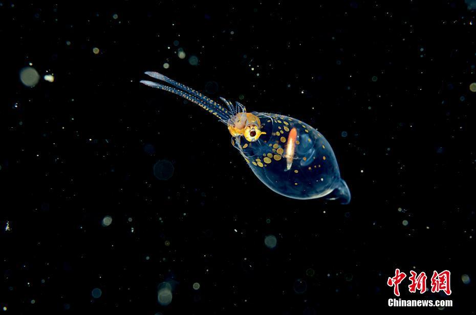 ???? ????? ???? ????? ???????? ??????? ???????