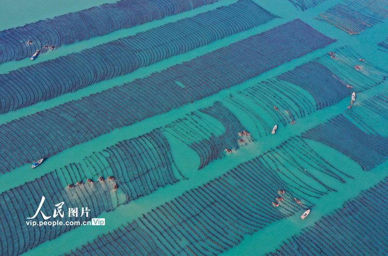 ??? ????? ?????? ?????? ???????? ???? ???? ???? ??? ????? 