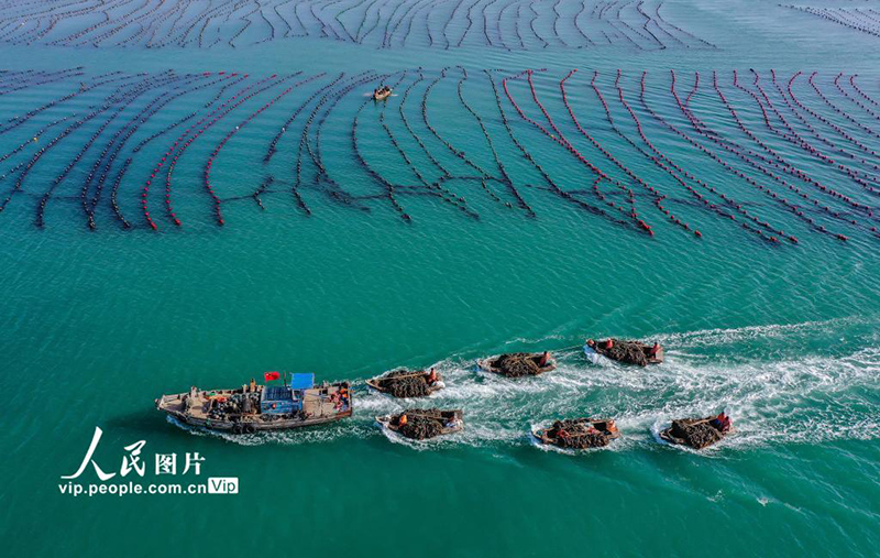 ??? ????? ?????? ?????? ???????? ???? ???? ???? ??? ????? 