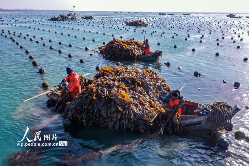 ??? ????? ?????? ?????? ???????? ???? ???? ???? ??? ????? 