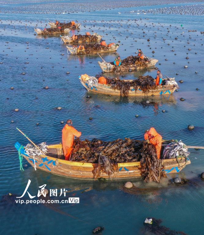 ??? ????? ?????? ?????? ???????? ???? ???? ???? ??? ????? 